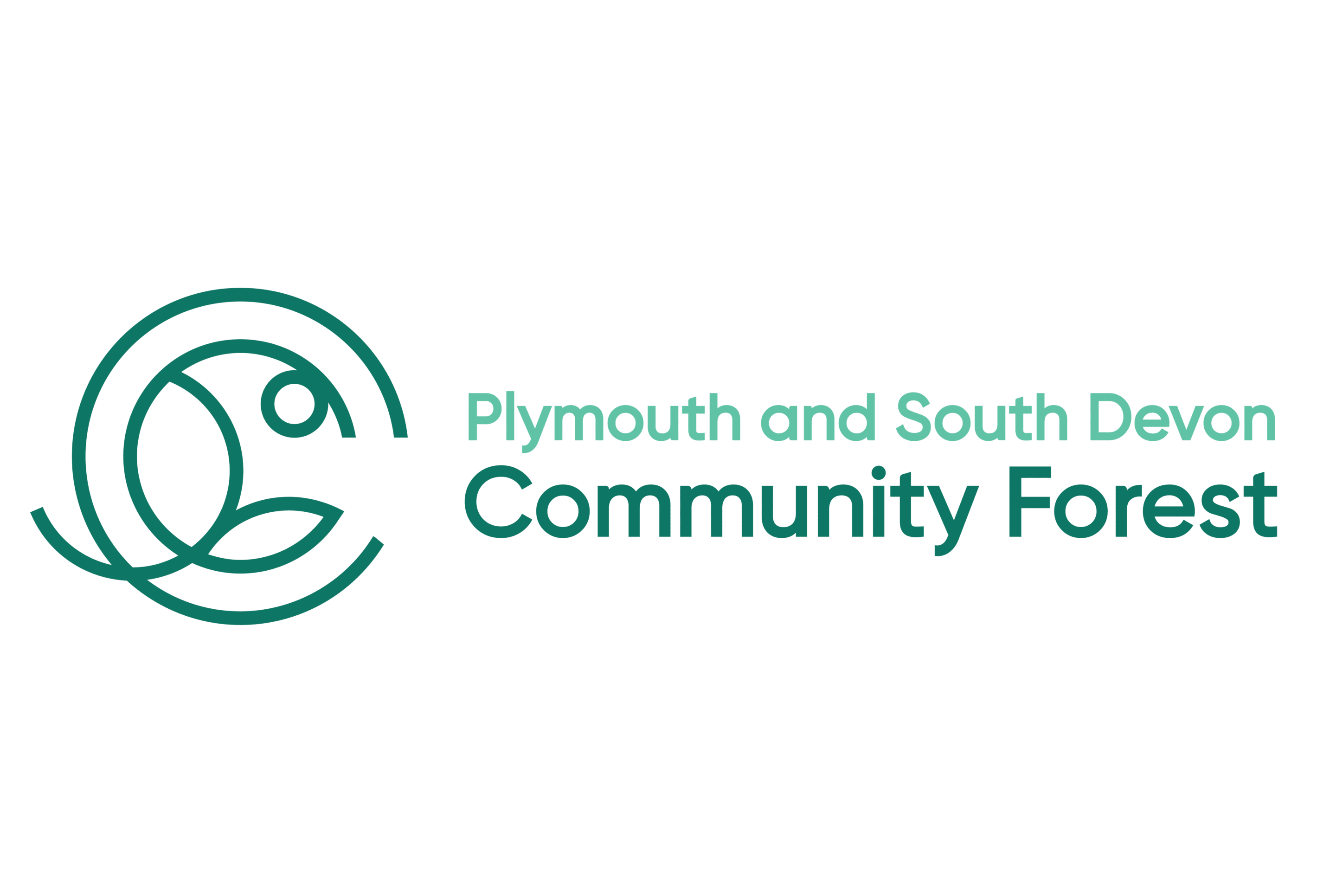 PSDCF horizontal main logo