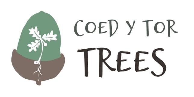 coed y tor trees