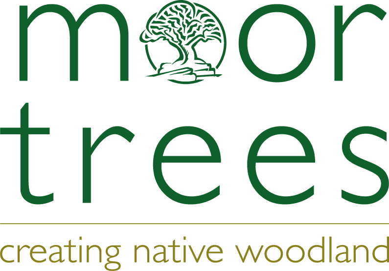 moor trees logo