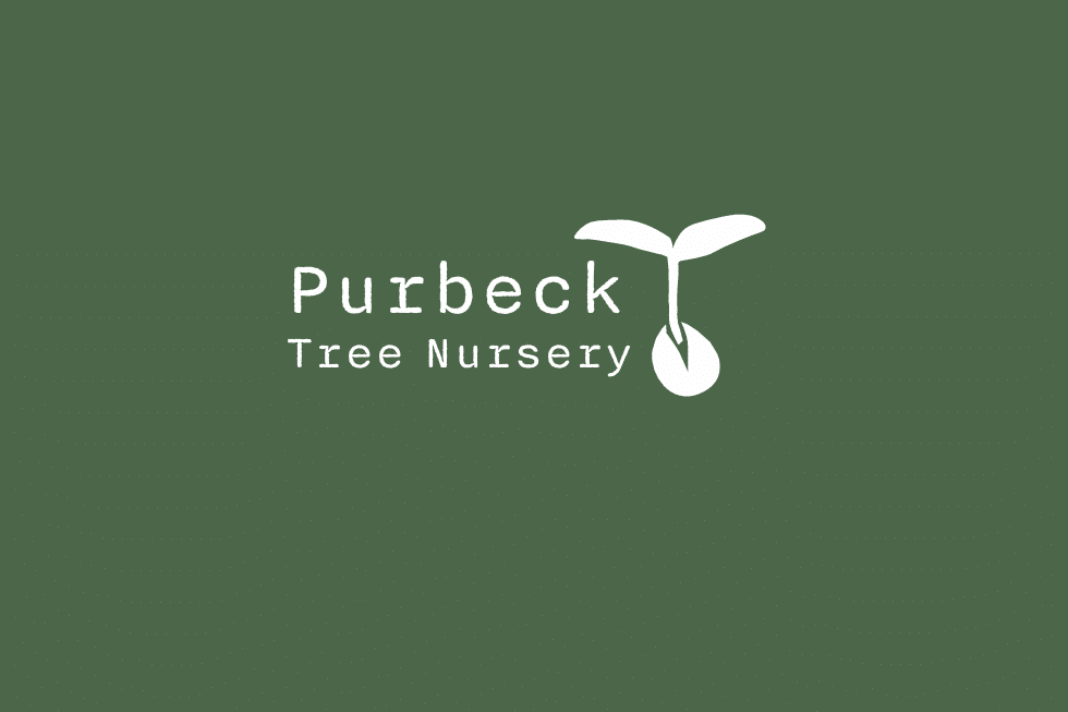 Purbeck tree nursery logo
